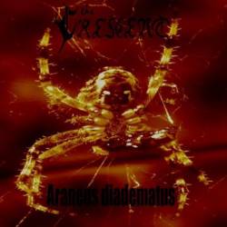 The Crescent (GER) : Araneus Diadematus